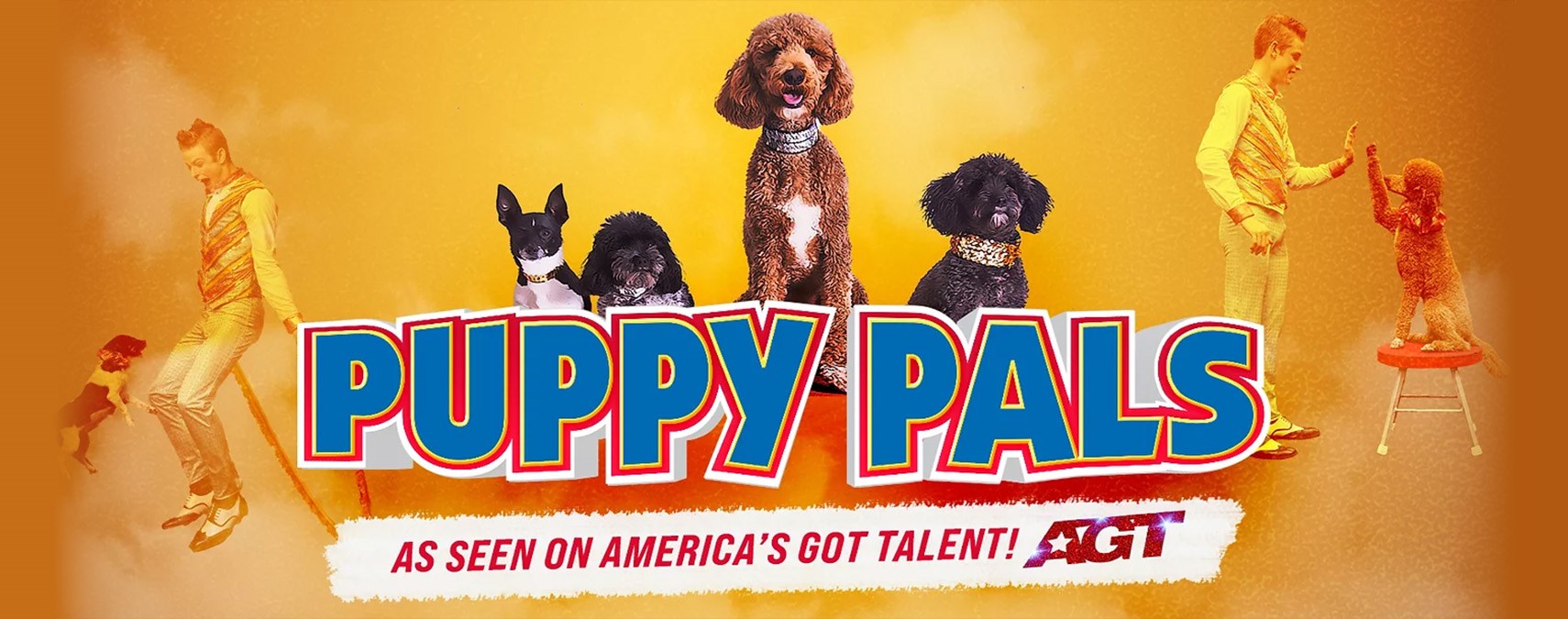 Puppy Pals LIVE