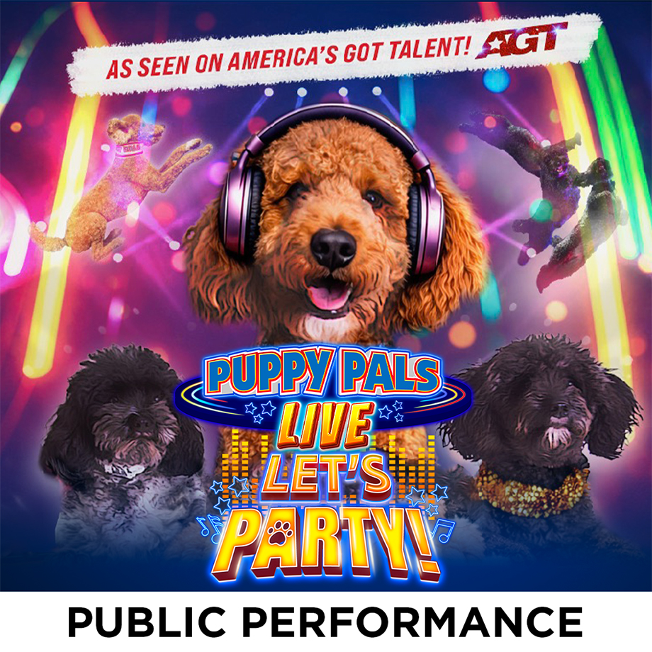 Puppy Pals LIVE - February 28, 2027 - 2 p.m.
